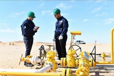 Details of the Second International Algerian Tender for Hydrocarbons