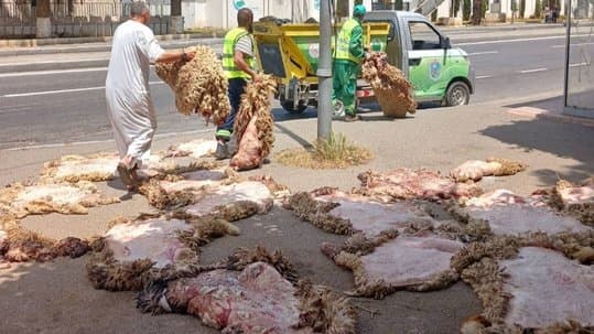 Did the campaign to collect sacrificial skins achieve its set goals? .. An official from the Ministry of Environment reveals