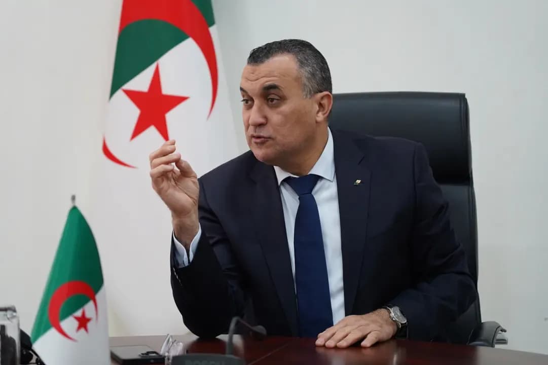 Digital Services.. Zrouki Calls on Algerian Companies to Expand Internationally