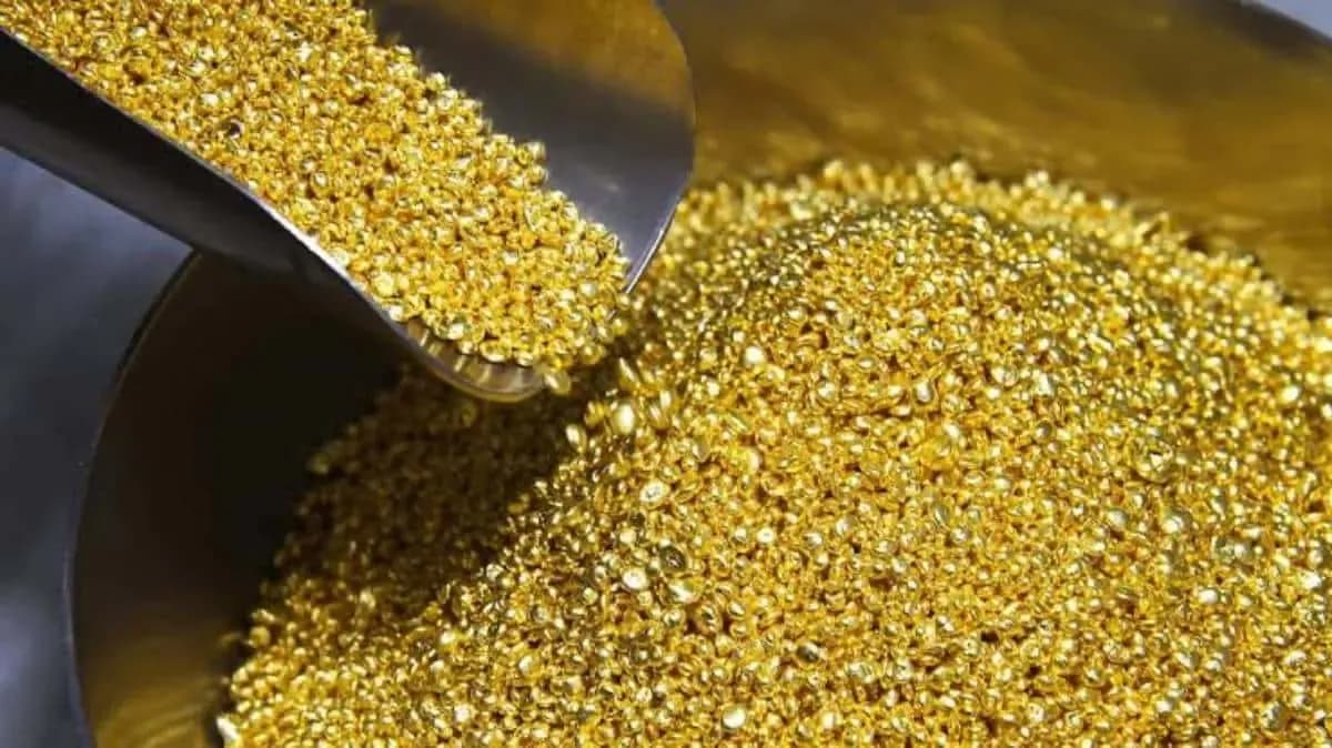Discovery of a gold mine in Côte d'Ivoire classified as a 'world-class mine'