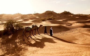 Domestic and Saharan Tourism: The New Roadmap