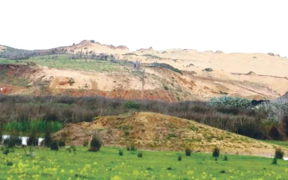 Ecological transition in Aïn Témouchent: 240 hectares of forests created with SONATRACH