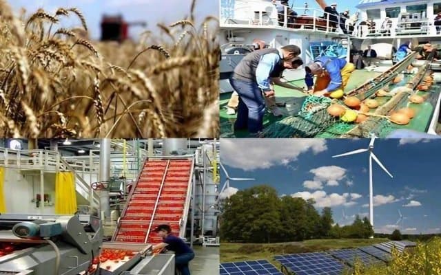 Economic diversification: Youth reshapes the contours of the new economy