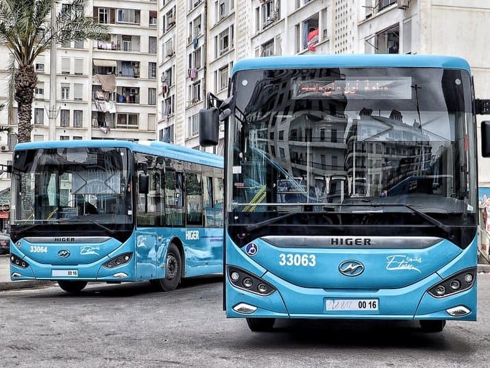 Eid al-Adha: Special Program for 'ETUSA' in the Capital
