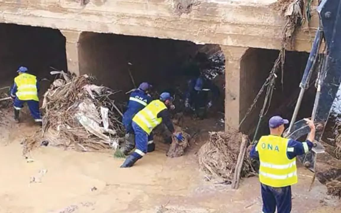 El Tarf: Cleaning of sanitation networks