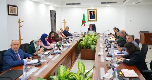 Energy: Adjal chairs a follow-up meeting
