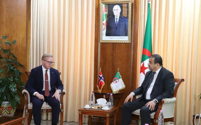 Energy: Algeria and Norway deepen their cooperation