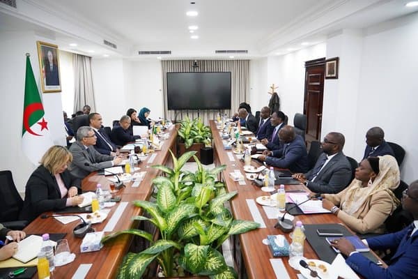 Energy: SONATRACH and Sonelgaz expand in Africa