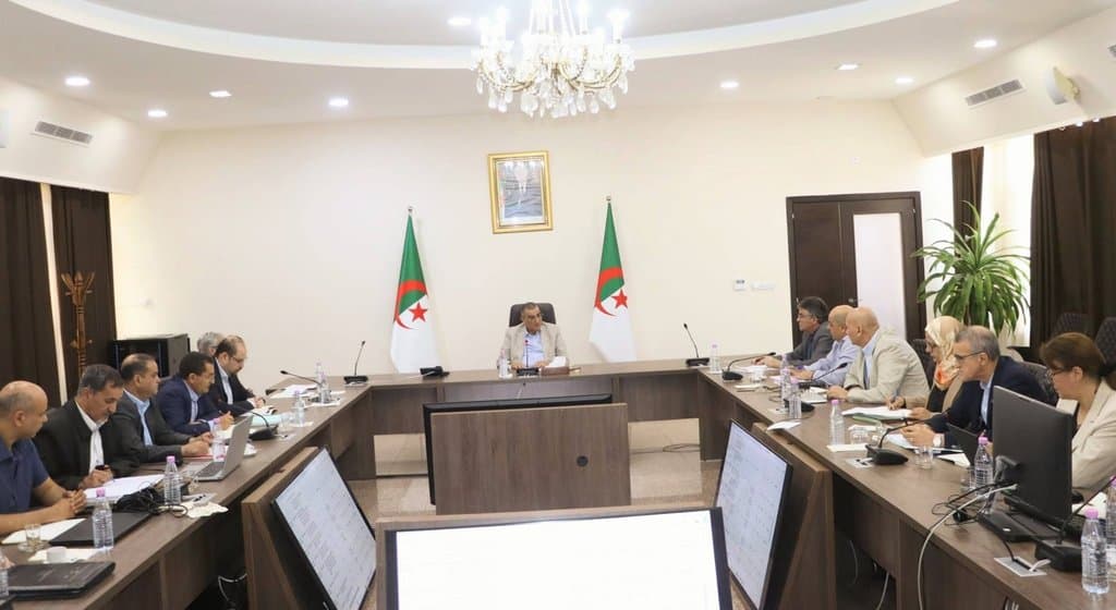 Evaluation of 2026 Projects and Preparation for New Investment Programs