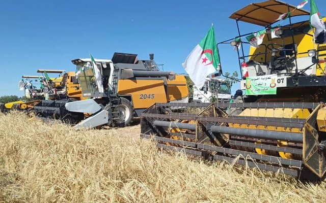 Exceeding one million quintals: Historic cereal harvest in Relizane