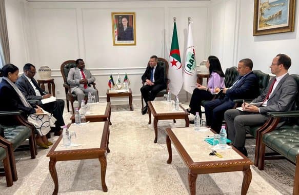 Expected Algerian-Ethiopian Partnership in Mining, Industry, and Agriculture