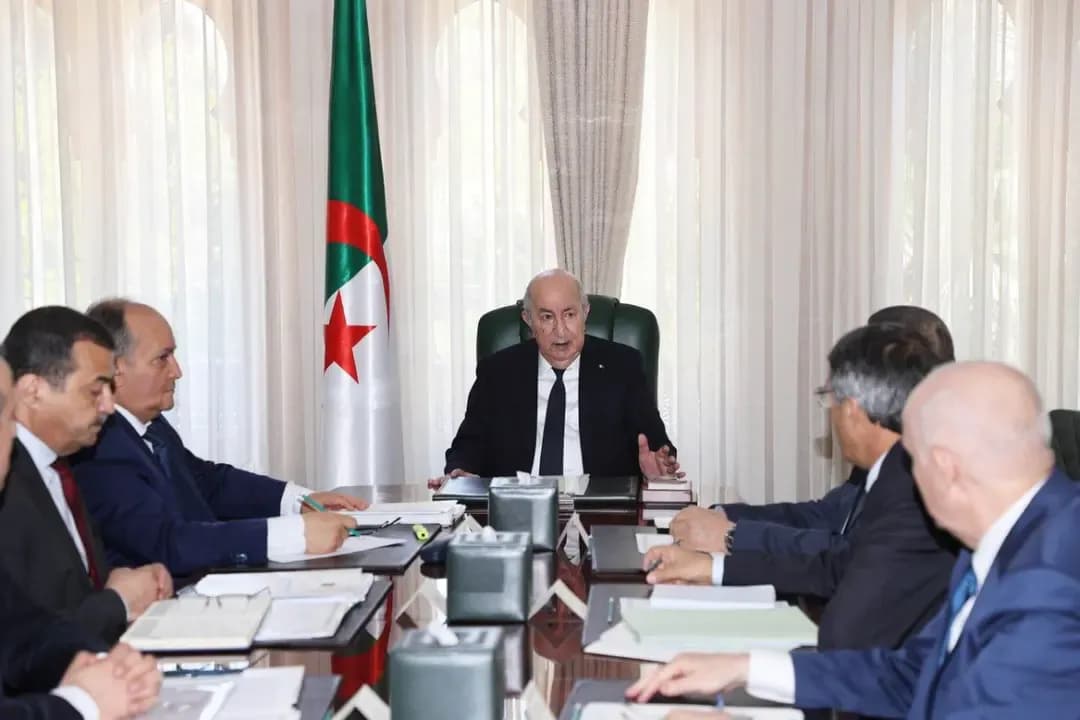 Experts Highlight the Major Development Dimensions of the Integrated Phosphate Project and the Algeria-Tamanrasset Railway Line