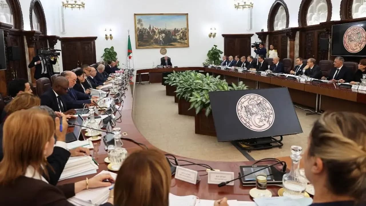 Experts: Special Council of Ministers for Agriculture is an Opportunity to Enhance Food Security and Develop the Sector