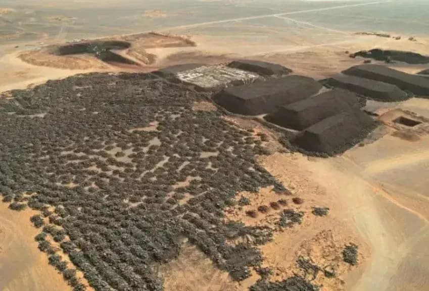 Exploitation of the Gara Djebilet Mine: Strengthening Economic Sovereignty and Valuing Natural Resources