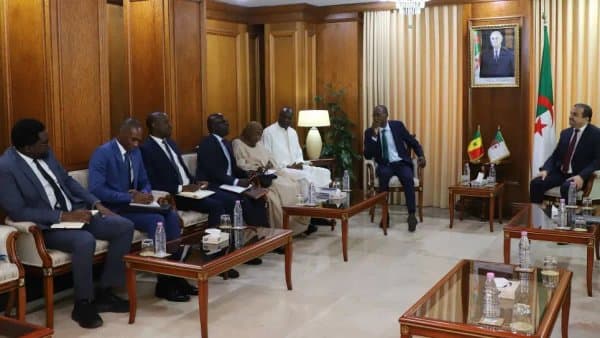 Exploration, Refining, and Petrochemicals: The Focus of Algerian-Senegalese Discussions