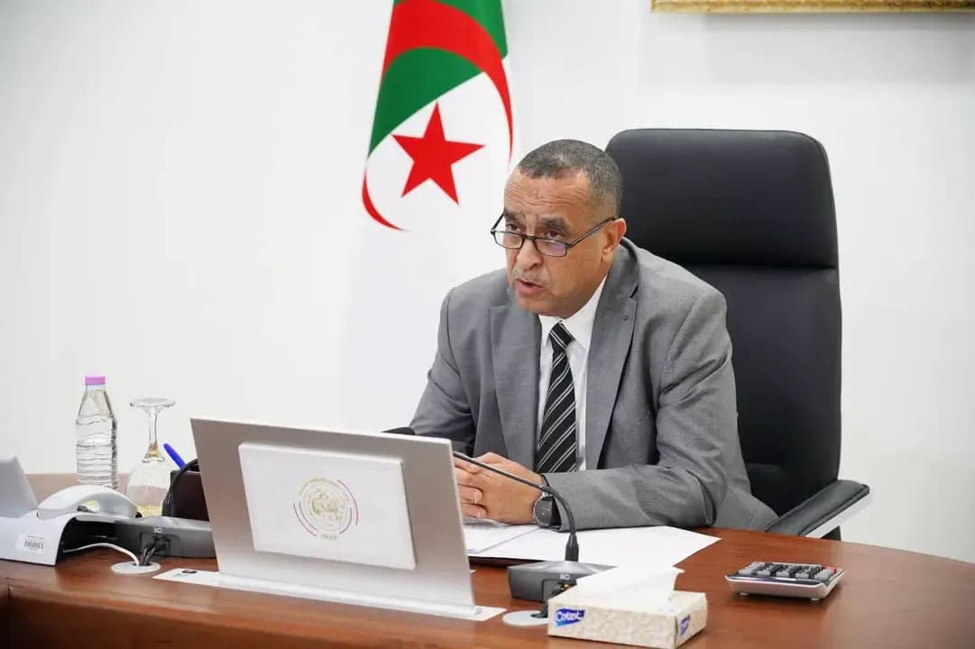 Exploring Ways to Accelerate the Implementation of Energy Cooperation Projects between Algeria and Mozambique