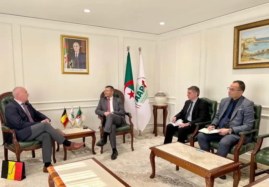 Exploring Ways to Enhance Algerian-Belgian Economic Cooperation