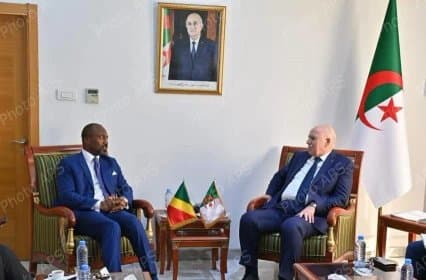 Exploring Ways to Enhance Industrial Partnership and Expand Cooperation in Several Strategic Sectors Between Algeria and Congo