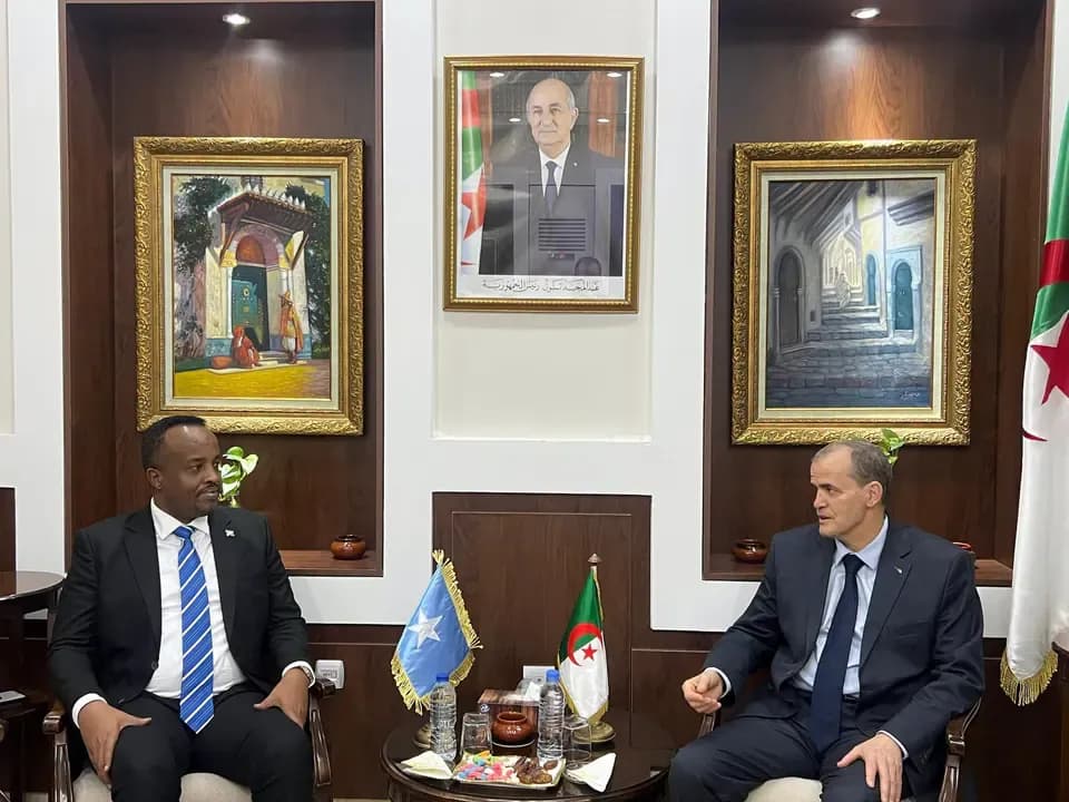 Exploring Ways to Enhance Trade Exchanges with Somalia and Russia