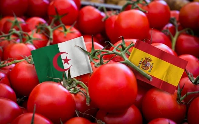 Export of 80 tons of tomatoes to Spain as part of efforts to diversify exports