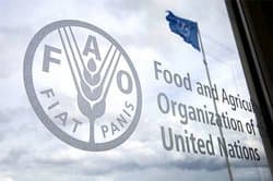 FAO: Global Food Prices Rise by 1.7% in June