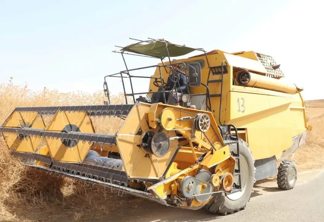 Field measures to ensure the smooth conduct of the harvest and threshing campaign