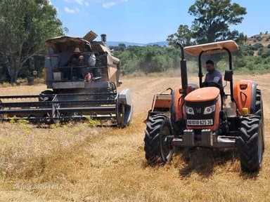 Field Mobilization to Accelerate Harvesting and Storage of Crops Across Various Provinces - Iqtissad Al Balad