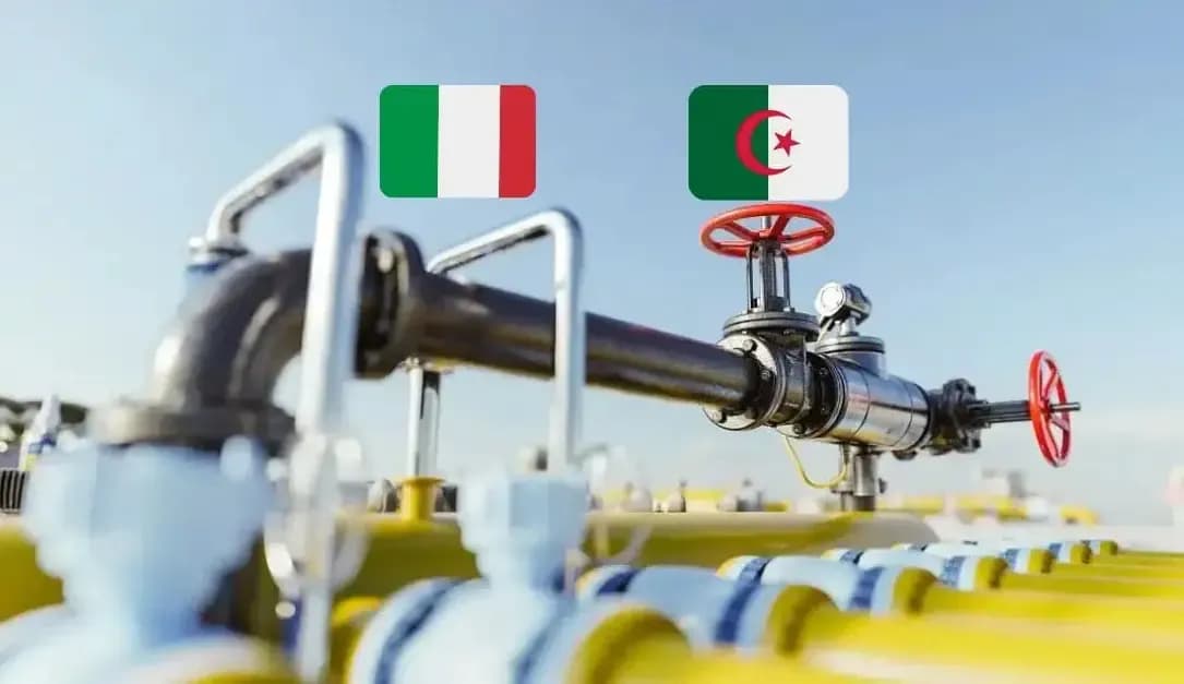 For these reasons, inspections are being carried out for the 'Algeria-Italy gas pipeline'