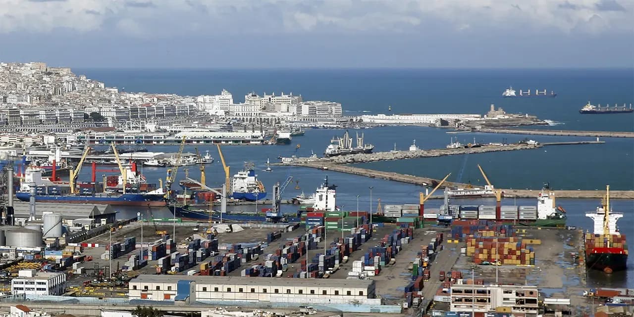 Foreign trade: Algerian exports to Africa soar by over 100%