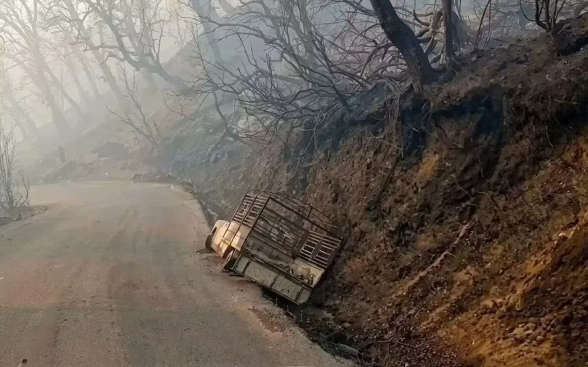 Forest Fires: For Effective Support of Victims