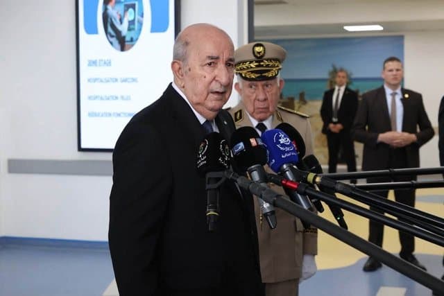 Forest fires: President Tebboune does not rule out the criminal angle