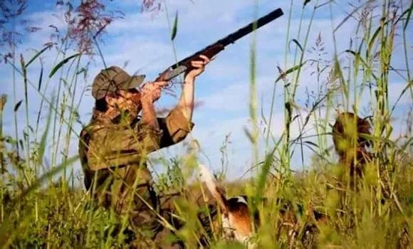 Forests: The official opening of the hunting season 2026-2027 on October 10