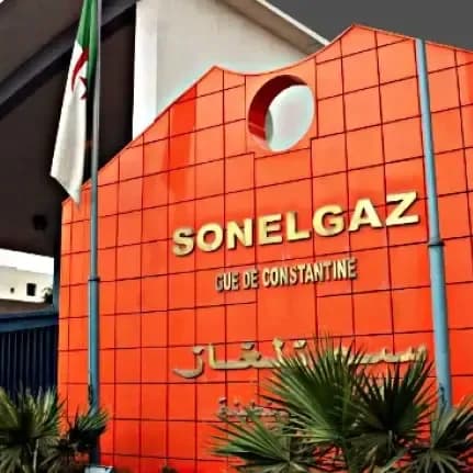 From Niger to Chad.. SONELGAZ Leads Algerian Companies to Enter African Electricity Markets