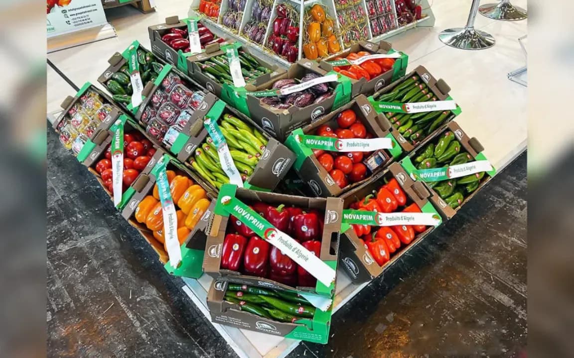 Fruit Attraction Fair from October 6 to 8: Algerian agriculture in Madrid