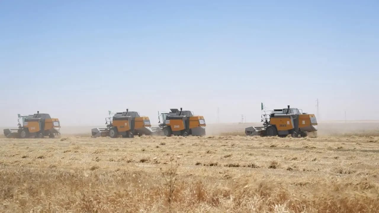 Gathering more than 1.7 million quintals of grains