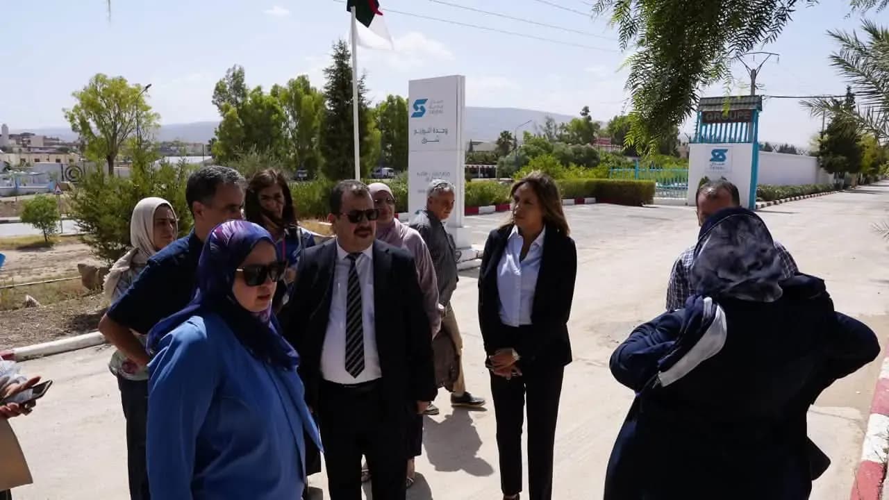 General Manager of 'Saida' Inspects Paracetamol Raw Material Production Project in Batna