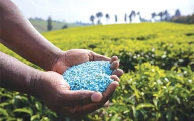 Geopolitics of fertilizers: India chooses Africa