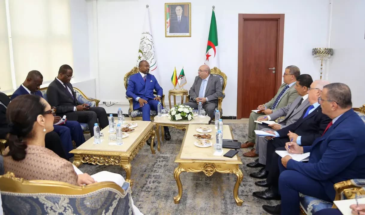 Gouidri discusses partnership opportunities in the pharmaceutical industry with Congolese Minister of Cooperation