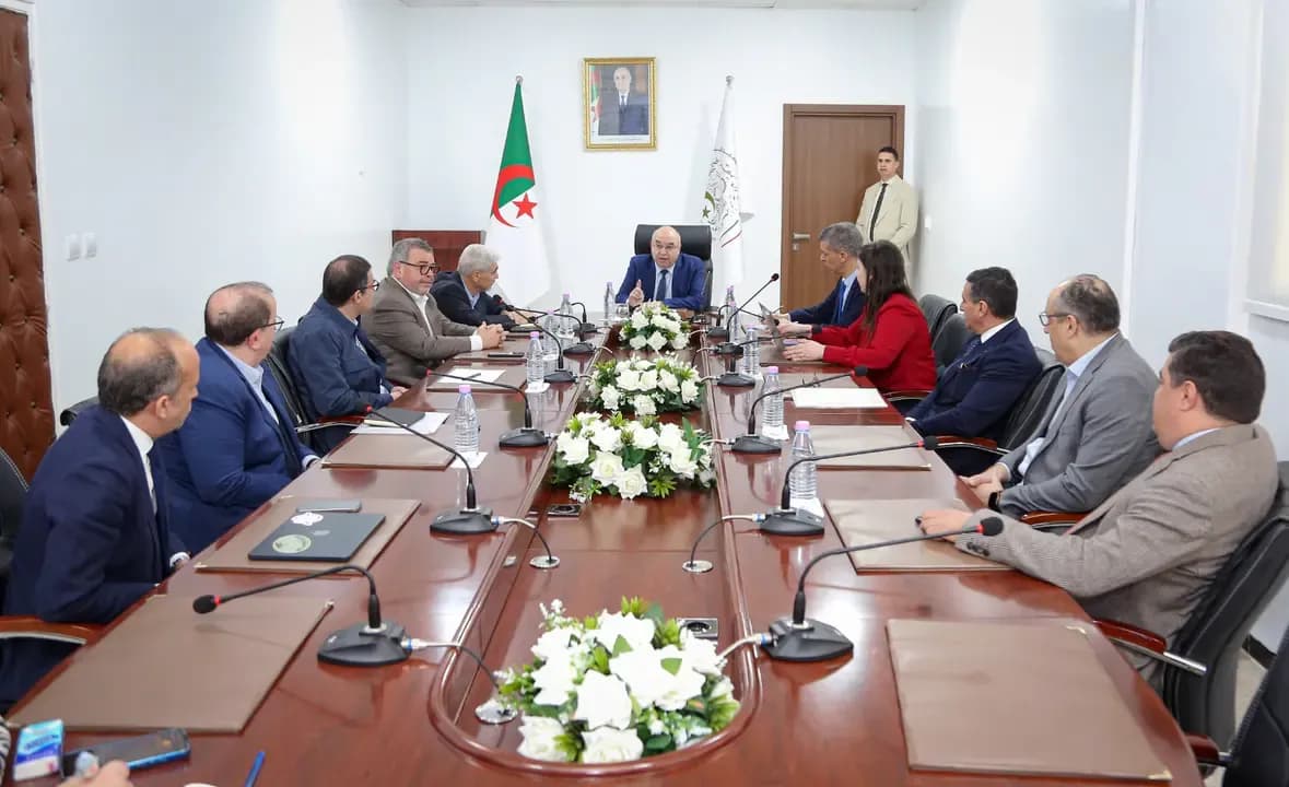 Gouidri emphasizes the need to ensure regular supply of medicines to the market