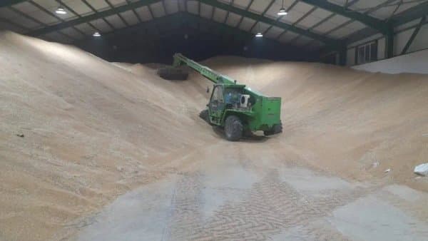 Grains.. A precedent in the Médéa province