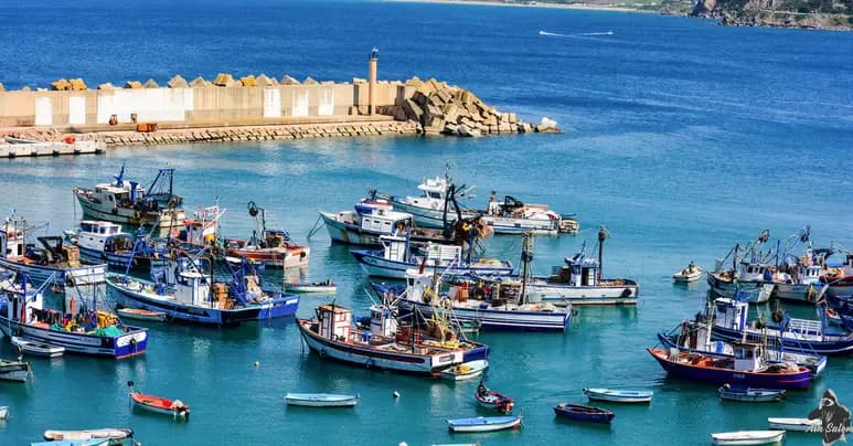 Growing Interest from Operators in Investing in El-Nazha Ports