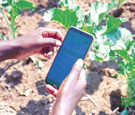 GSMA unlocks strategic funding for African start-ups: Promoting the green economy in sight