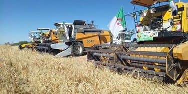 Harvest and Threshing Campaign.. Direct Communication Channels Available for Farmers and Grain Producers - Iqtissad Al Balad