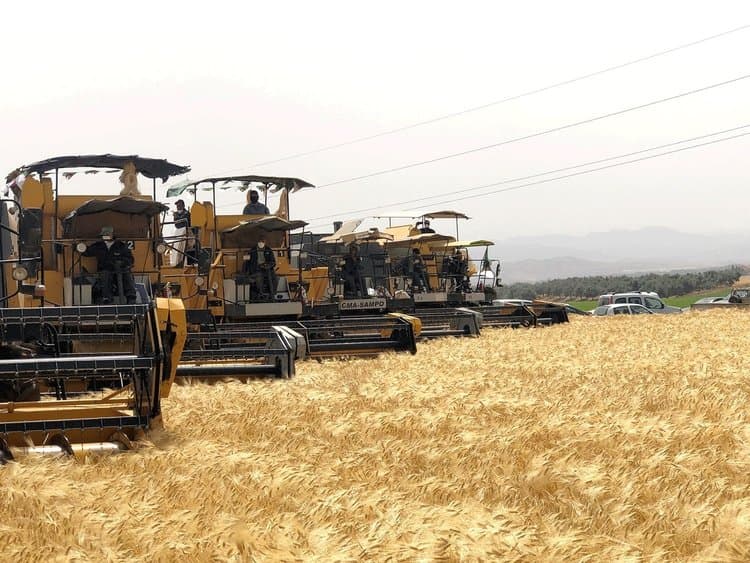 Harvest Season: The Ministry of Agriculture Announces a Series of Measures