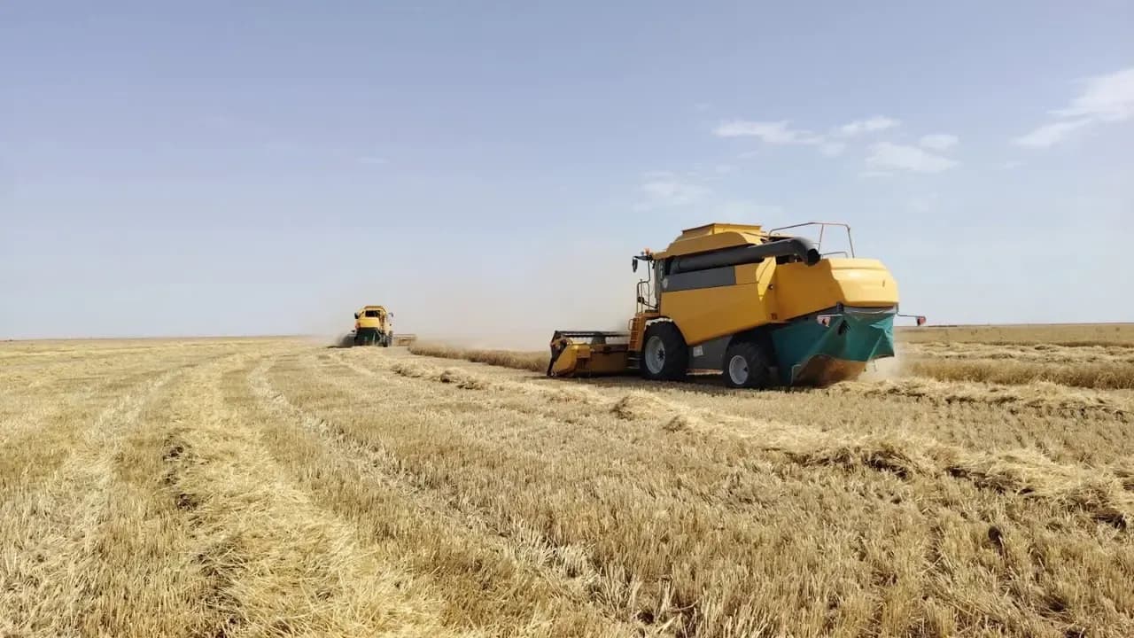 Harvesting over one million quintals of various types of grains