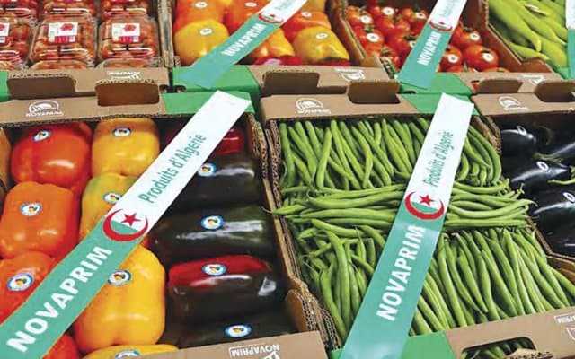 Henan opens the door to 'Made in Algeria': Conquering the Chinese market