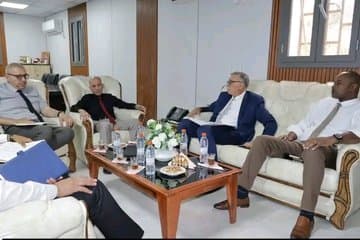 High-level delegation from Sonelgaz visits Ain Salah