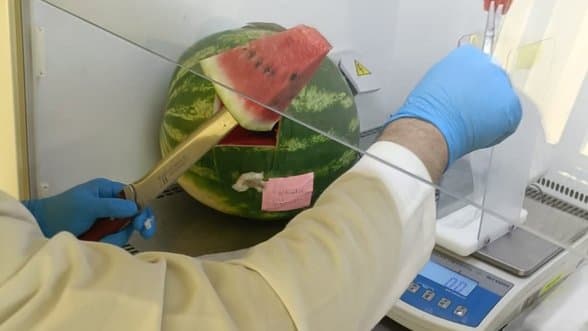 High Nitrate Levels in Watermelon Contained