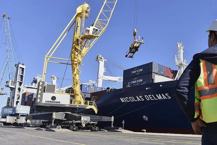 High Positions in the Export and Import Authorities and the Conditions for Appointment
