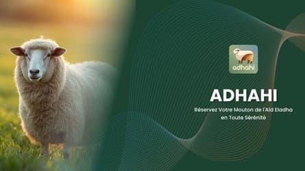 Imported sheep exceed one million heads.. and the 'Adahi' platform reveals the latest figures